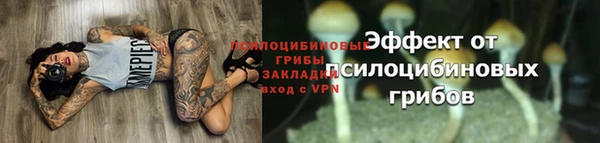 скорость Белокуриха