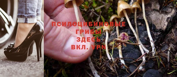 мяу мяу мука Беломорск